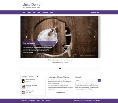 out-of-box WordPress theme